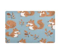 Door Mats Squirrels Holding Nuts Non Slip Indoor Door Mat Easy To Clean Mat For Kitchen Bedroom Pets 40X60Cm