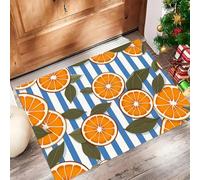 Door Matts Indoor 50 X 80 Cm, Cartoon Orangewashable Entrance Rug, Absorbent Dog Doormat For Muddy Paws, Mixed Colors Blue White Stripesinside Mat For Front Door, Entryway, Pets