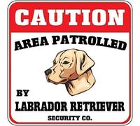 Door Ornamentscaution Area Patrolled Labrador Retriever Dog Security Crossingwarning Metal Sign For Front D Funny Decor Metal Sign 8X12 Inches