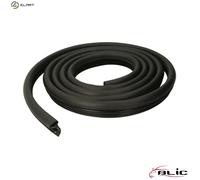 BLIC 5703-04-0095502P Door seal