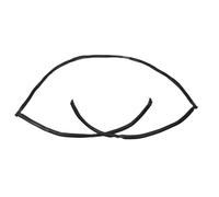 Door Seal For Bmw E39 525i 528i 530i 540i For M5 1997-2003 51318159785 Auto Seals Rear Upper Trunk Windshield Moulding Trim Seal