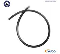 VAICO V30-1566 Door Seal