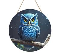 Door Sig Personalized Welcome Sigs Wood Sign for Front Door blue owl Wooden Signs Unfinished Wooden Plaque with String Home Decor Garden Sign for Garden Yard