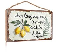 Door Sign Decor Fresh Lemons And Tequila: A Refreshing Blend Of Nature'S Delight Wooded Sign Fall Wall Decor Funny Bathroom Wooden Hanging(23X35CM)