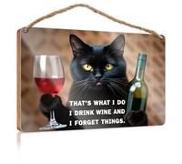 Door Sign for Front Door Outside That's What I Do I Drink Wine and I Forget Things. Door Hanging Decor Pool Signs and Decor Outdoor(20X30CM)