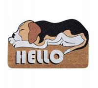 Door Wiper Coconut HELLO Sleeping Dog 45x75cm