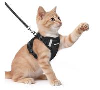 Dooradar Cat Harness and Lead Set, Escape Proof Kitten Harness, Black | Neck Release Buckle, 3 Easy-on Buckles, Soft Air Mesh, Reflective, Lockable Fit, 1.5m Lead for Kittens & Small Cats Walks, XS