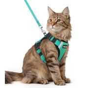 Dooradar Cat Harness and Lead Set, Escape Proof Kitten Harness, Cyan Green | Neck Release Buckle, 3 Easy-on Buckles, Soft Air Mesh, Reflective, Lockable Fit, 1.5m Lead for Medium-large Cats Walks, M