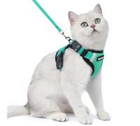 Dooradar Cat Harness and Lead Set, Escape Proof Kitten Harness, Cyan Green | Neck Release Buckle, 3 Easy-on Buckles, Soft Air Mesh, Reflective, Lockable Fit, 1.5m Lead for Average Adult Cats Walks, S