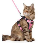 Dooradar Cat Harness and Lead Set, Escape Proof Kitten Harness, Pink | Neck Release Buckle, 3 Easy-on Buckles, Soft Air Mesh, Reflective, Lockable Fit, 1.5m Lead for Medium-large Cats Walks, M