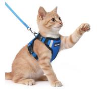 Dooradar Cat Harness and Lead Set, Escape Proof Kitten Harness, Royal Blue | Neck Release Buckle, 3 Easy-on Buckles, Soft Air Mesh, Reflective, Lockable Fit, 1.5m Lead for Kittens & Small Cats Walks, XS