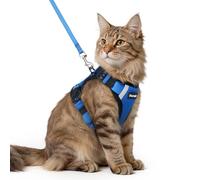 Dooradar Cat Harness and Lead Set, Escape Proof Kitten Harness, Royal Blue | Neck Release Buckle, 3 Easy-on Buckles, Soft Air Mesh, Reflective, Lockable Fit, 1.5m Lead for Medium-large Cats Walks, M