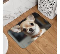 Doormat 16" x 24" Non-Slip Front Doormats Cute Chihuahua Welcome Mats Door Mat for Bathroom Entryway Mats Rectangular Outdoor Decoration Mat for Outdoor Indoor Patio