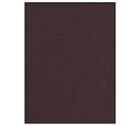Doormat Brown 80 x 120 cm Made of Durable Polypropylene with Non-Slip PVC Backing, Washable and Weatherproof for Entrance, Hallway, Balcony, Patio, Indoor and Outdoor Use