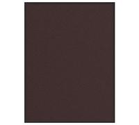 Doormat Brown 80x120 cm Tufted Polypropylene Mat with Non-Slip PVC Backing Heavy