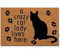 Doormat Entrance Floor Mat a Crazy Cat Lady Lives Here Mat Interior Decoration Home and Office Door Mat Home Decor Entrance Mat 36X24 Inch