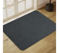 Doormat Indoor Ultra Thin 60 x 90 cm Door Mat for Indoor Use, Non-Slip Absorbent Dirt-Repellent Entrance Mat, Washable Door Mat for Front Door, Flat Inner Floor Mat (Dark Grey)