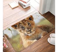 Doormat Non-Slip Front Door Mat 60 x 40cm Outdoor Entrance Mat Indoor Rugs for Entryway Cute little animal lion Doormat Absorbent Welcome Mats Washable Floor Mats for Hallway Outside Patio Porch