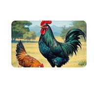 Doormat Non-Slip Front Door Mat 80 x 48 cm Outdoor Entrance Mat Indoor Rugs for Entryway Chicken And Rooster Print Doormat Absorbent Welcome Mats Washable Floor Mats for Hallway Outside Patio Porch