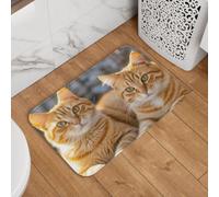 Doormat Non-Slip Front Door Mat Entrance Mat Indoor Rugs for Entryway | Orange Cats Doormat Absorbent Welcome Mats Washable Floor Mats for Hallway Outside Patio Porch 40x60 cm