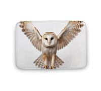 Doormat Non-Slip Welcome Mats A Barn Owl Door Mat Entrance Floor Mats Washable Rubber Door Rug Personalized Carpet Rugs Farmhouse Entryway Mats for Outdoor Indoor Home Decor 19.7"x31.5"