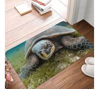 Doormat Non-Slip Welcome Mats Big Tortoise Door Mat Entrance Floor Mats Washable Rubber Door Rug Personalized Carpet Rugs Farmhouse Entryway Mats for Outdoor Indoor Home Decor 16''x 24''