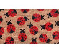 Doormat Welcome Ladybug Animals Funny Entryway Rugs Indoor Non Slip, Washable Entrance Mat Outdoor Door Mats for Kitchen, Bathroom Home Decor 16 * 24in/40 * 60cm
