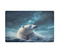Doormats Bear Under The Stars Mat Absorbent Heavy Duty Inside Floor Mat Machine Washable Entrance Mats For Office Kitchen Porch 40X60 CM