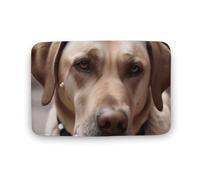 Doormats Dog Eats Ice Cream Cone Floor Carpet Rug Heavy Duty Inside Floor Mat Non-Slip Floormats For Office Porch Indoor 40X60 CM
