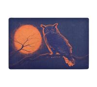 Doormats Owl At Night Mat Absorbent Heavy Duty Floor Carpet Rug Easy Clean Inside Floor Mat For Office Porch Indoor 40X60 CM