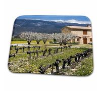 Doormats Vineyard, Stone House, Mt Ventoux, Provence, France Bath Mat Washable Non-Slip Shower Mats, For Indoor & Outdoor, Toilet, Bathtub, 40x60cm