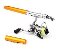 doorslay Pocket Collapsible Fishing Rod Reel Combo Mini Pen Fishing Pole Kit Telescopic Fishing Rod Spinning Reel Combo Kit, Gold, 1M