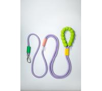 Dopamine Color Dog Leash - Hands Free (Green Handle Purple Leash)