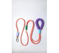 Dopamine Color Dog Leash - Hands Free (Purple Handle Rouge Leash)