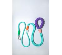 Dopamine Color Dog Leash - Hands Free (Purple Handle Turquoise Leash)