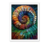 Doppelganger33 LTD Bright Multicoloured Ammonite Fossil Artwork Framed Wall Art Print 18X24 inch