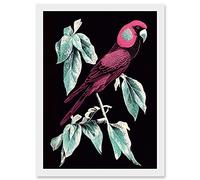 Doppelganger33 LTD Coral Parrot On Tree Branch Silver Linocut Illustration Modern Vibrant Artwork Framed Wall Art Print A4