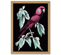 Doppelganger33 LTD Coral Parrot On Tree Branch Silver Linocut Illustration Modern Vibrant Artwork Framed Wall Art Print A4