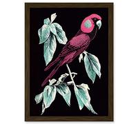 Doppelganger33 LTD Coral Parrot On Tree Branch Silver Linocut Illustration Modern Vibrant Artwork Framed Wall Art Print A4