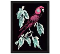 Doppelganger33 LTD Coral Parrot On Tree Branch Silver Linocut Illustration Modern Vibrant Artwork Framed Wall Art Print A4