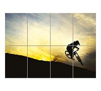 Doppelganger33 LTD Downhill Mountain Bike Silhouette Bicycle Sport XL Giant Panel Poster Art Print (8 Sections)