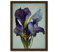 Doppelganger33 LTD Iris Floral Modern Watercolour Artwork Framed A3 Wall Art Print