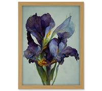 Doppelganger33 LTD Iris Floral Modern Watercolour Artwork Framed A3 Wall Art Print