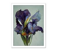 Doppelganger33 LTD Iris Floral Modern Watercolour Artwork Framed Wall Art Print 18X24 Inch