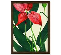 Doppelganger33 LTD Laceleaf Flower Floral Tropical Leaf Pink Anthurium Painting Artwork Framed Wall Art Print A4