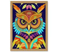Doppelganger33 LTD Owl Illustration Symmetric Vibrant Colourful Pattern Artwork Framed Wall Art Print A4