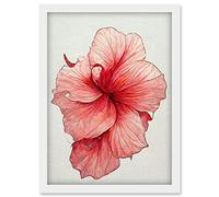 Doppelganger33 LTD Pink Hibiscus Flower Illustration Floral Pink Artwork Framed Wall Art Print A4