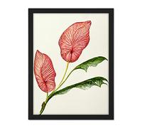 Doppelganger33 LTD Pink Laceleaf Tropical Leaf Anthurium Botanical Artwork Framed Wall Art Print 18X24 Inch