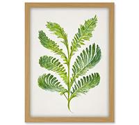 Doppelganger33 LTD Royal Fern Leaf Modern Watercolour Botanical Artwork Framed A3 Wall Art Print