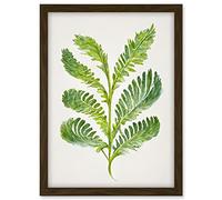 Doppelganger33 LTD Royal Fern Leaf Modern Watercolour Botanical Artwork Framed A3 Wall Art Print